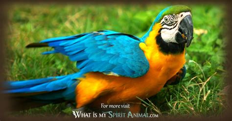 Parroting Definition & Meaning .